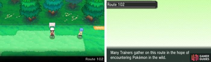 Pokemon emerald route 111