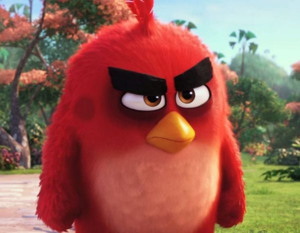 Angry bird big bro deviantart wallpaper