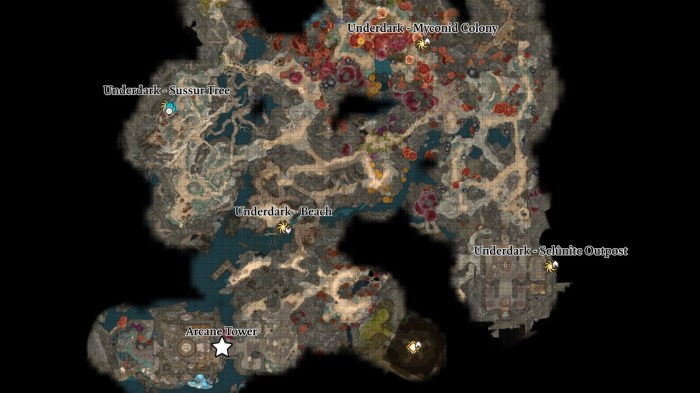 Underdark map wilderness ddo maps area dnd dragons dungeons ddmsrealm walkthrough rpg guide enlarge click choose board