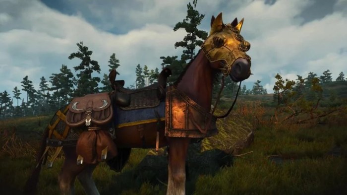 Best saddlebags witcher 3