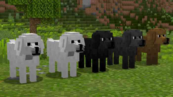 How to find dogs minecraft