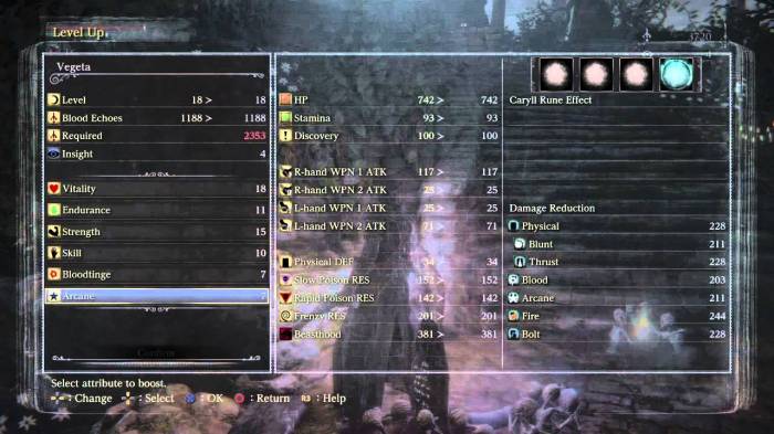 How to level up bloodborne