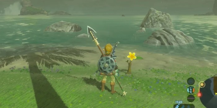 Breath of the wild flower