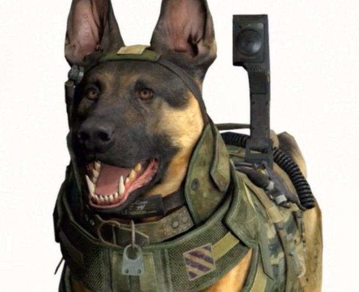 Call of duty ghosts dog