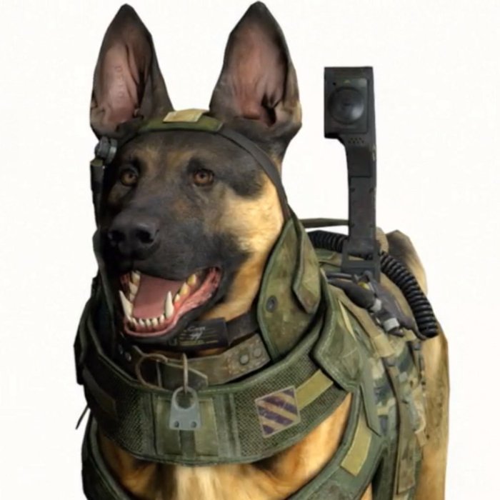 Call of duty ghosts dog