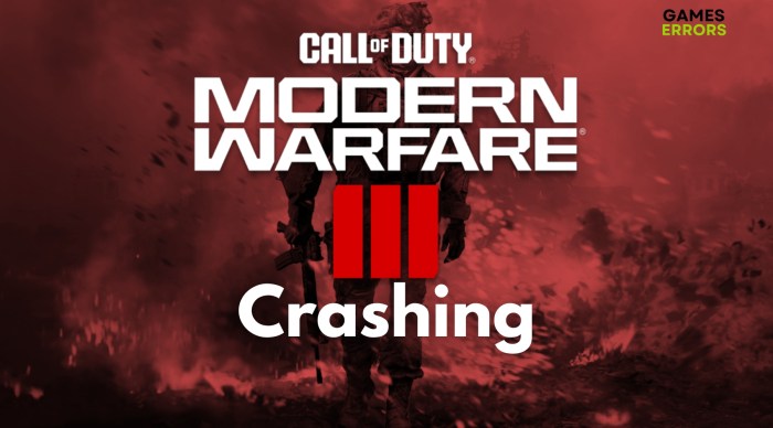 Call of duty mw3 crashing