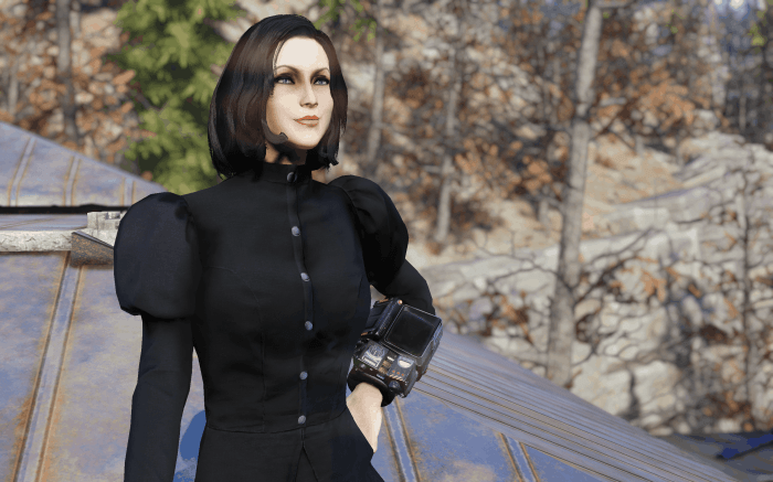 Fallout 76 female outfits