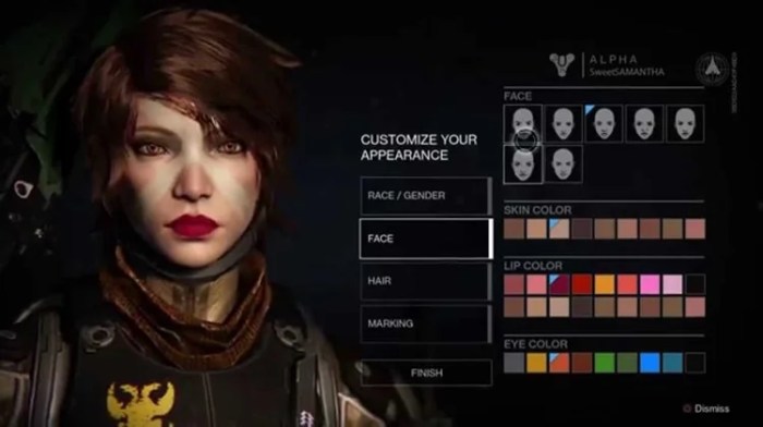 Destiny character bungie options customization money real sell should