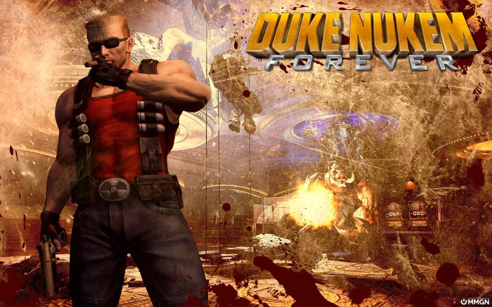 Duke nukem forever hints