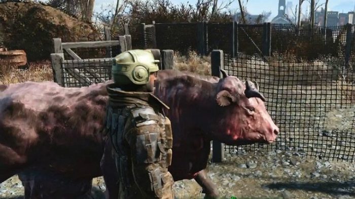 Fallout brahmin farm