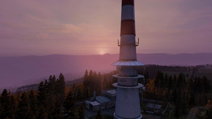 Dayz what to do at night