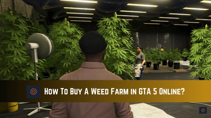 Weed bikers buys grow