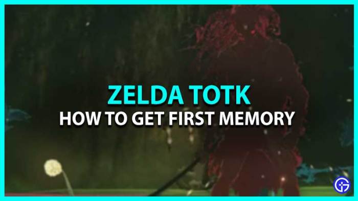 How to get memory 1 totk