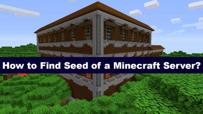 Find seed minecraft server