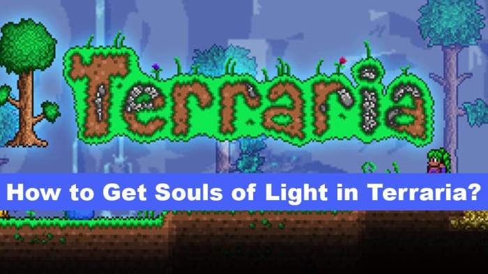 How to get souls of light