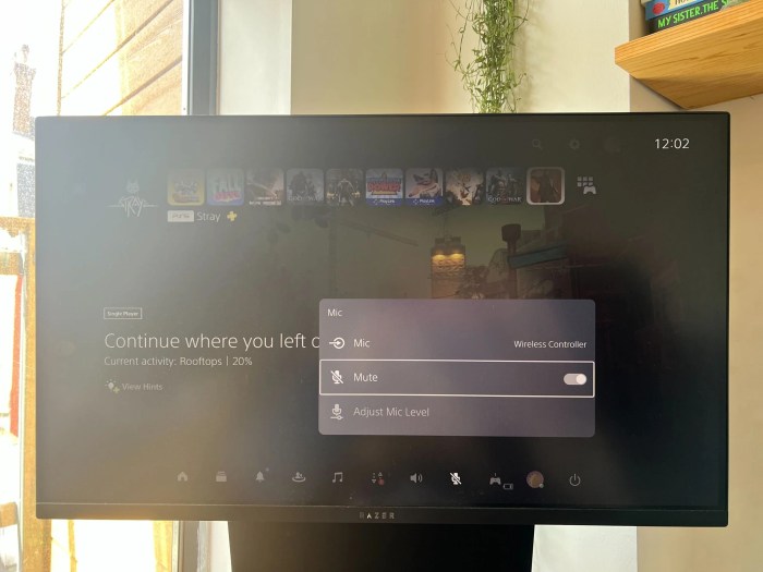 Mute dualsense ps5 microphone