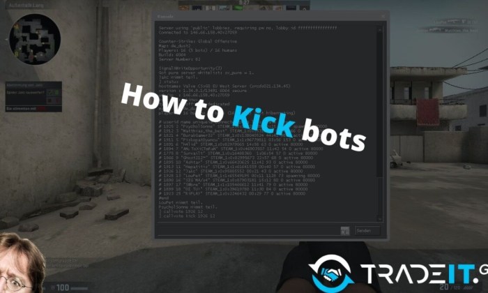 How to remove bots in cs2