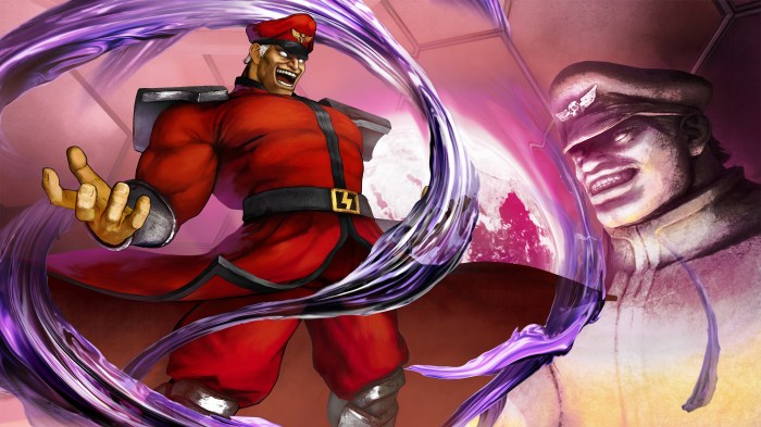 Mike bison street fighter