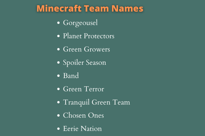 Team names for minecraft