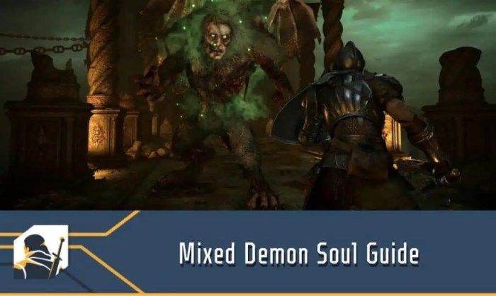 Mixed demon soul best use