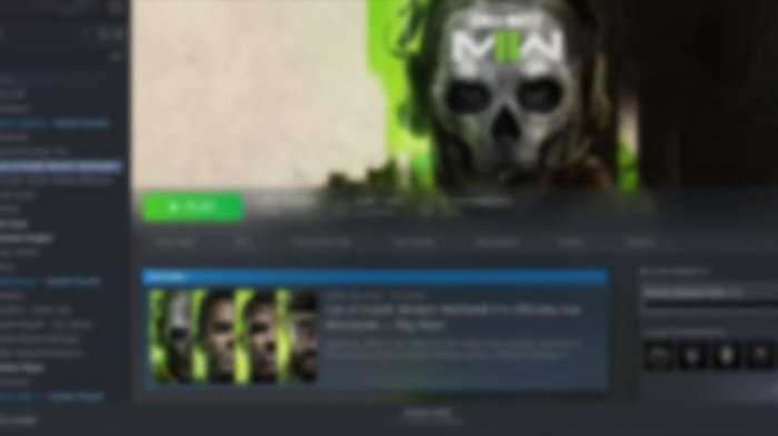 Mw3 won't launch on steam