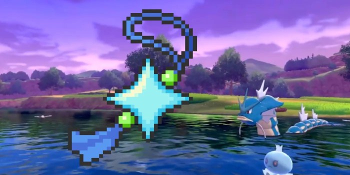 Pokémon sword shiny charm