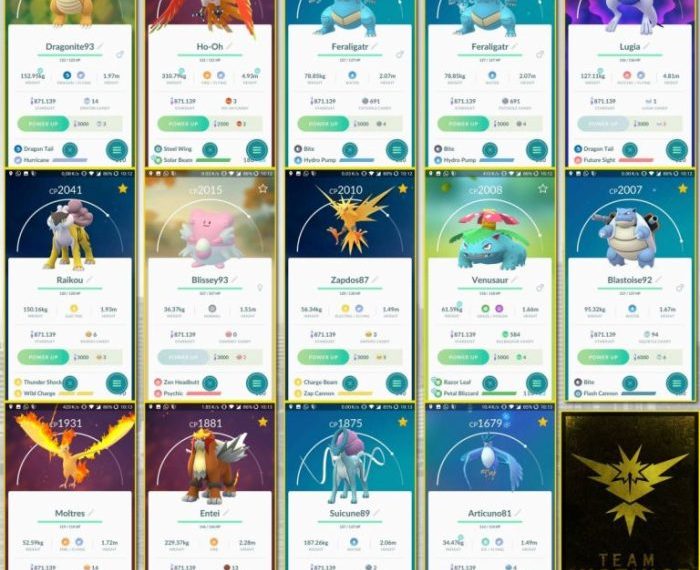 Highest pokemon go account