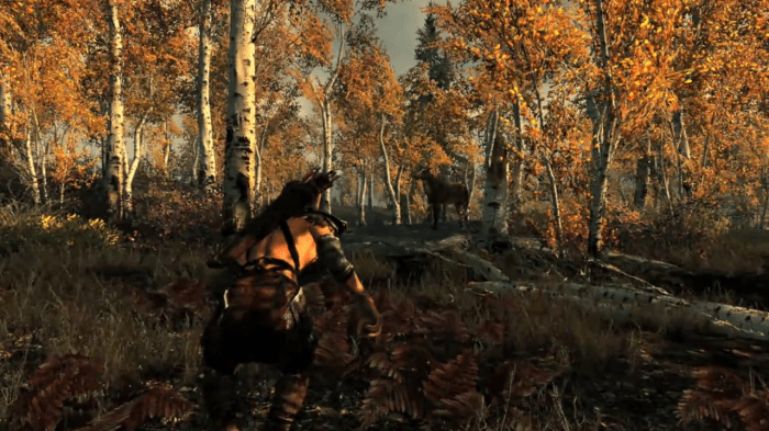 Skyrim archer stealth assassin gameplay 1080p