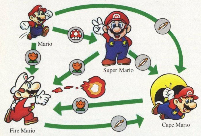 Super mario wii power ups