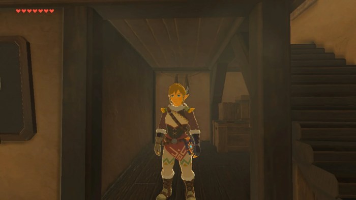 Cold resistant armor botw