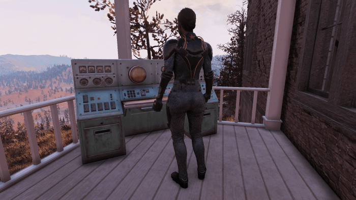 Chinese suit stealth fallout outfit mod sofia apr