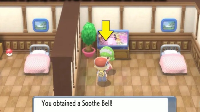 Soothe bell pokemon sword