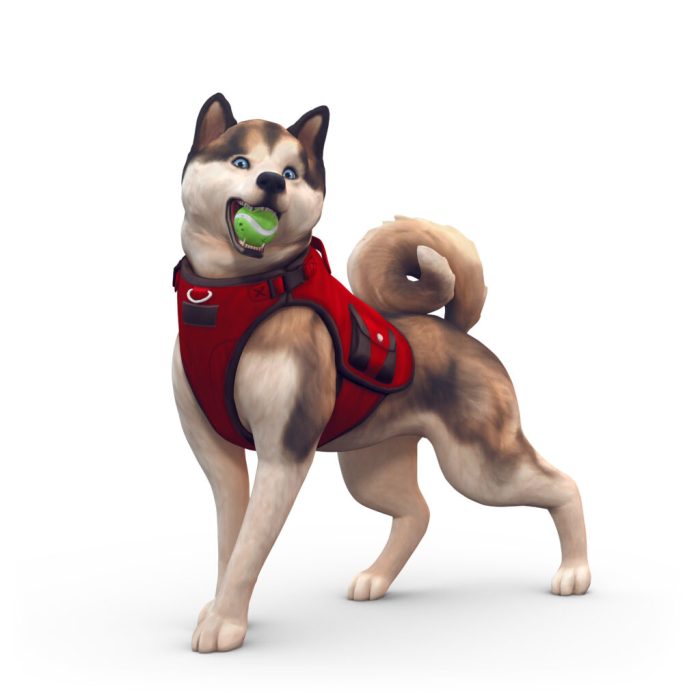 Sims dog made laya comments yorkies comment sims4