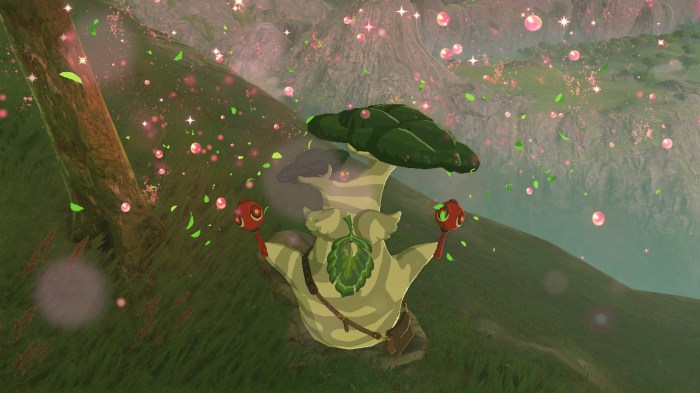 Korok botw breath game8 hyrule collected needed loz