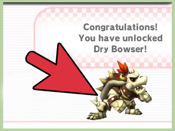 Dry bowser mario kart wii