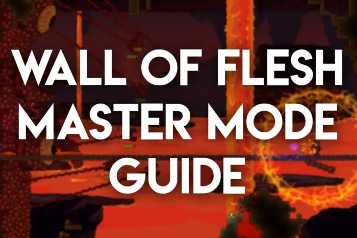 Wall of flesh master mode