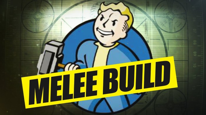 Fallout 3 character build