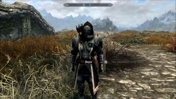 Skyrim best mage follower