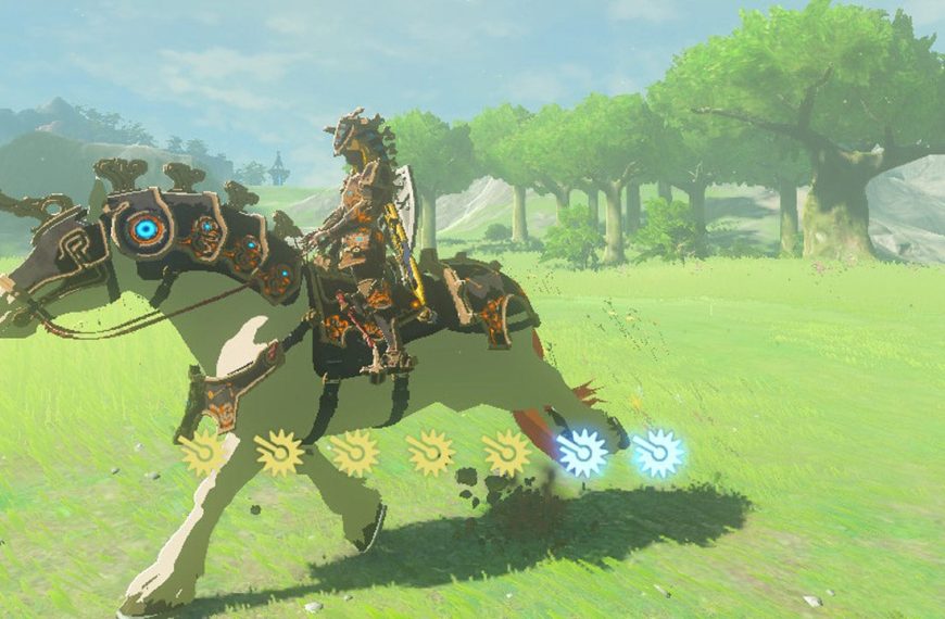 Breath of the wild saddles