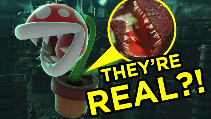 Real plant piranha life mario super terrifying absolutely overmental games