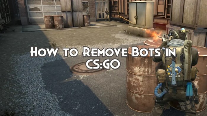 How to remove bots in cs2