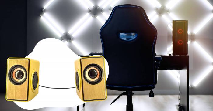 Speakers xbox loudspeaker diaphragm