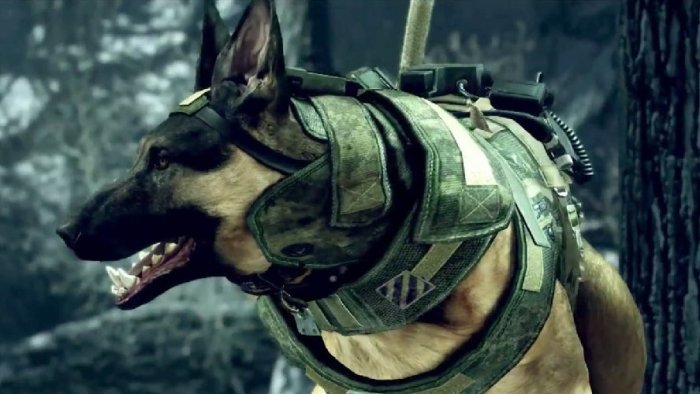 Call of duty ghosts dog