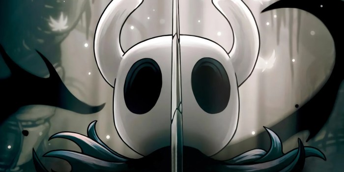 Hollow knight happy couple