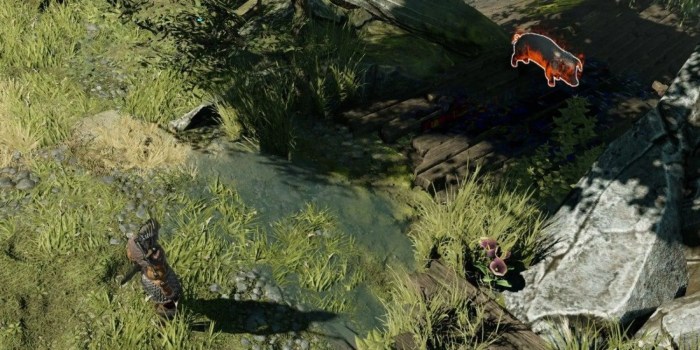 Divinity 2 flaming pigs