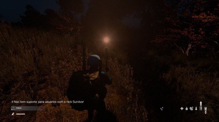 Dayz what to do at night