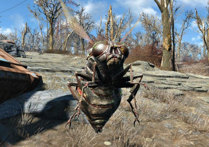 Fallout bugs