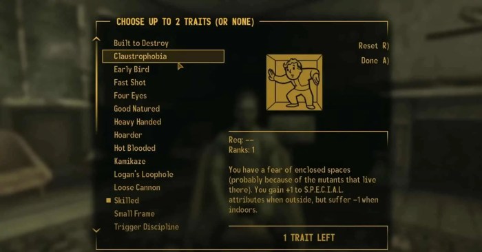 Fallout new vegas traits