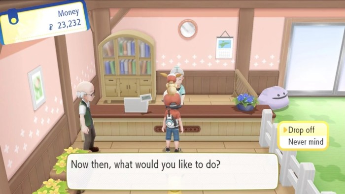 Daycare in pokemon black 2