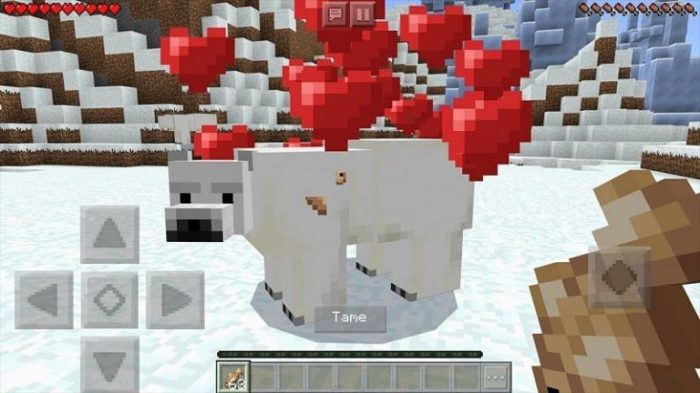 Breed polar bear minecraft